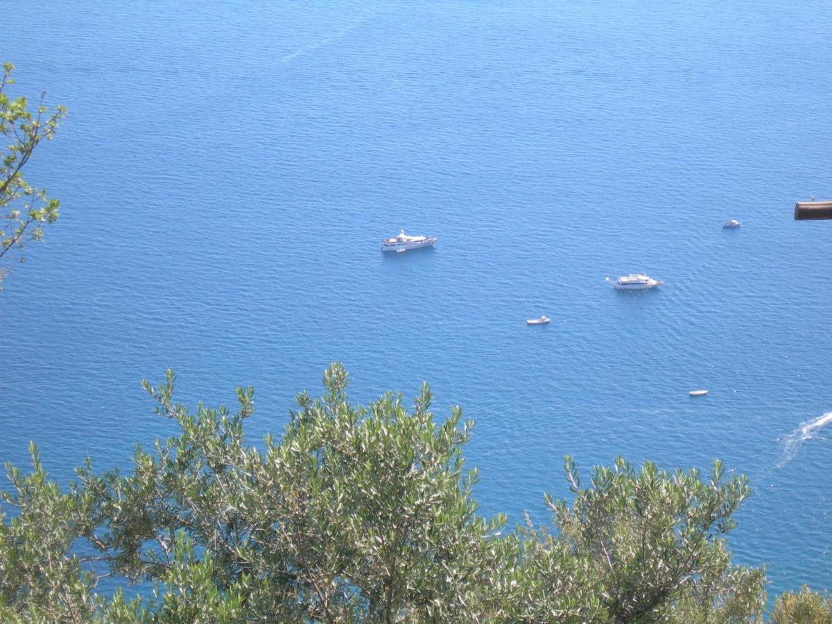Fattoria La Tagliata Bed & Breakfast Positano Bagian luar foto