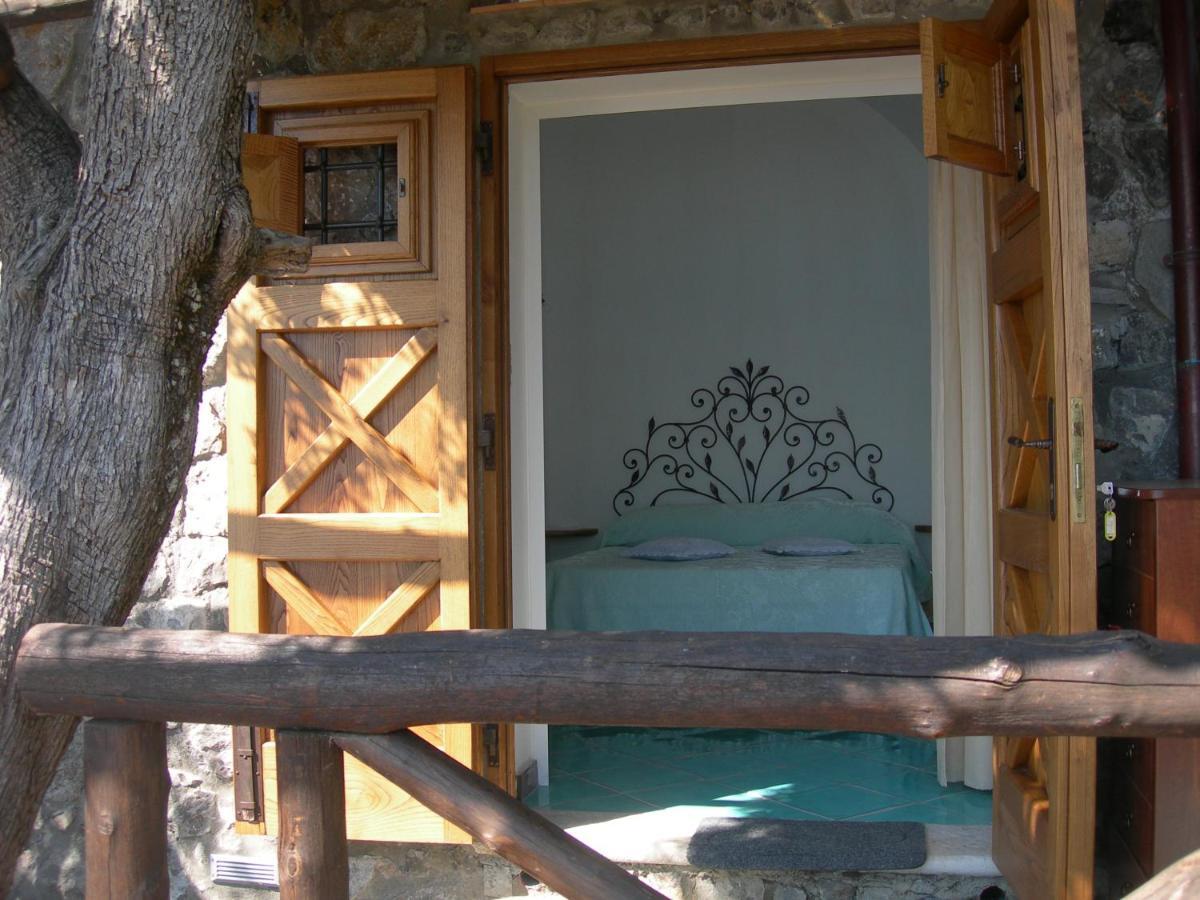 Fattoria La Tagliata Bed & Breakfast Positano Bagian luar foto